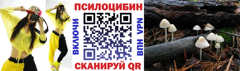 Галлюциногенные грибы Cubensis  Купить  Лакинск 